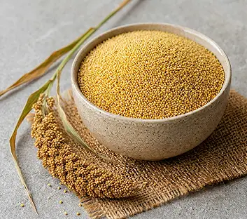 Foxtail Millet