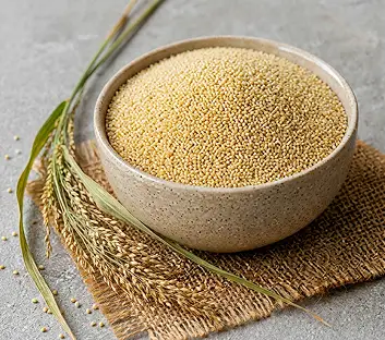 Little Millet