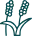 curated-millet-brands