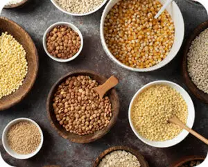 Millet Magic Mealtime Makeovers